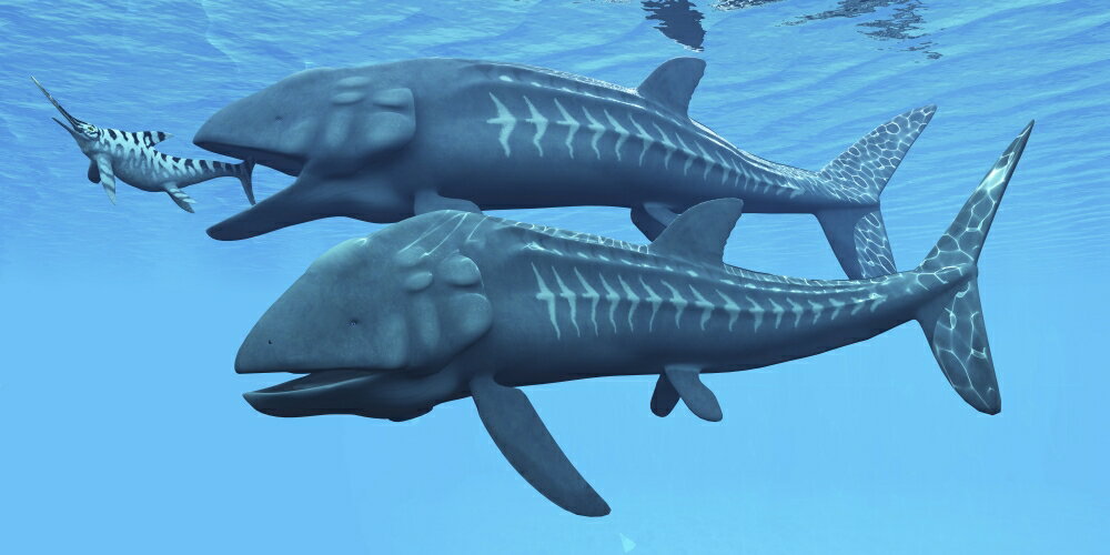 Posterazzi: Leedsichthys fish about to swallow an ...