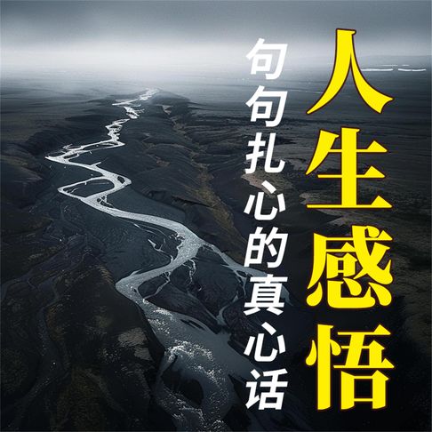 【有聲書】人生感悟：句句扎心的真心话 0