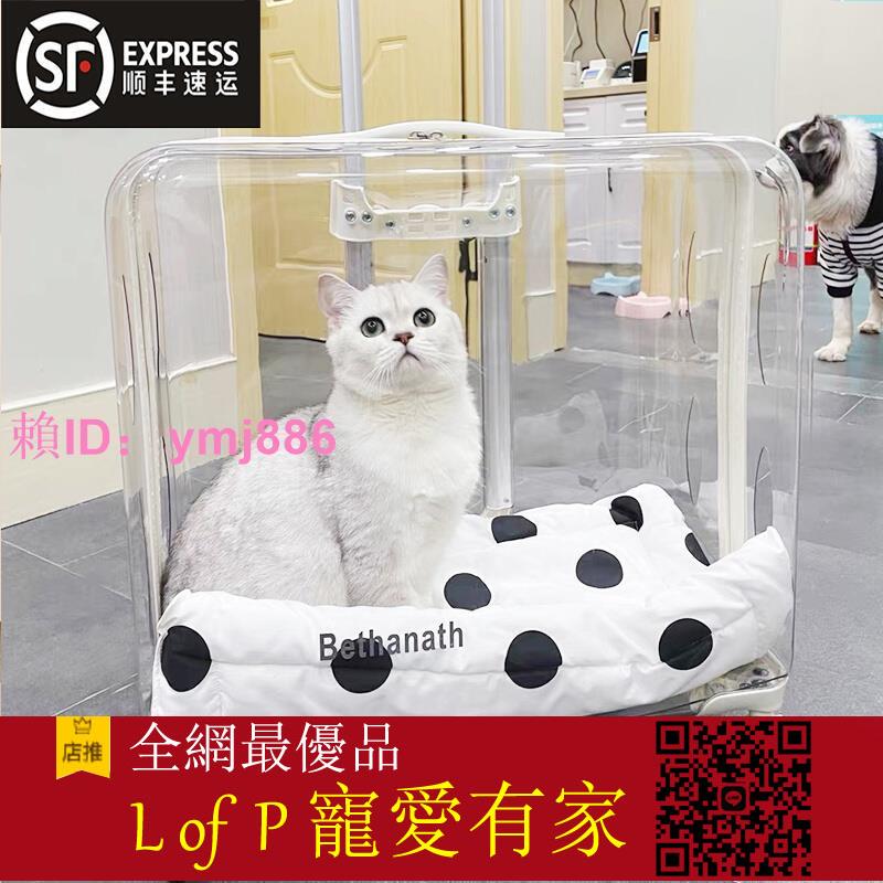 限時折扣！貓包拉桿箱透明狗狗太空艙寵物外出便攜行李箱貓咪推車大號航空箱【L of P 寵愛有家】