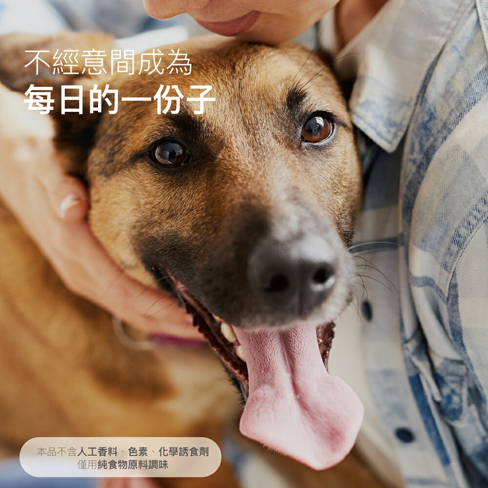 ＵＴＯ｜ 木入森 犬寶有關膝 專業獸醫推薦 6