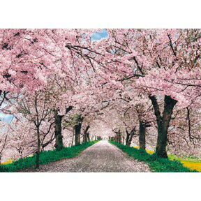 P2-  HM52-617 櫻花道拼圖520片