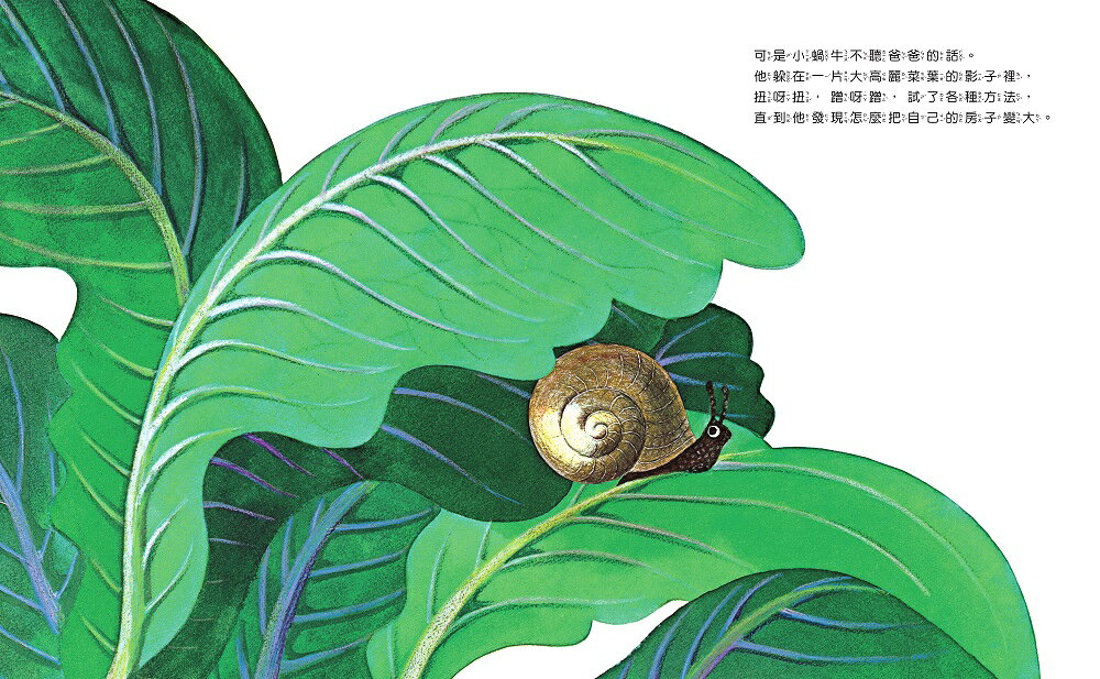【讀書共和國】世界上最大的房子（二版） 3