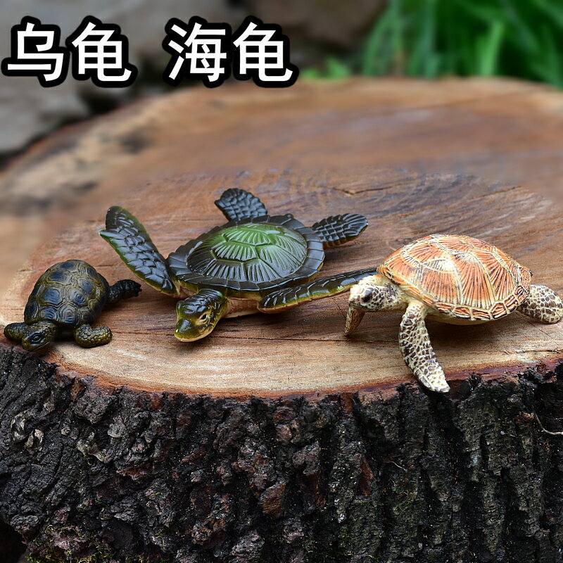 烏龜海龜青蛙水生動物仿真動物模型海洋動物生物兒童玩具魚缸擺件