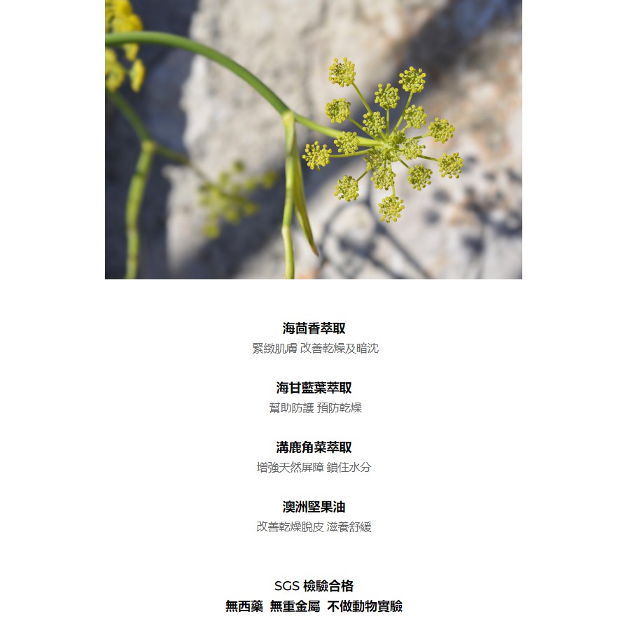 【Rock'n Apple x COCOLO】（日霜）再生賦活緊緻乳 Revitalizing Cream 3