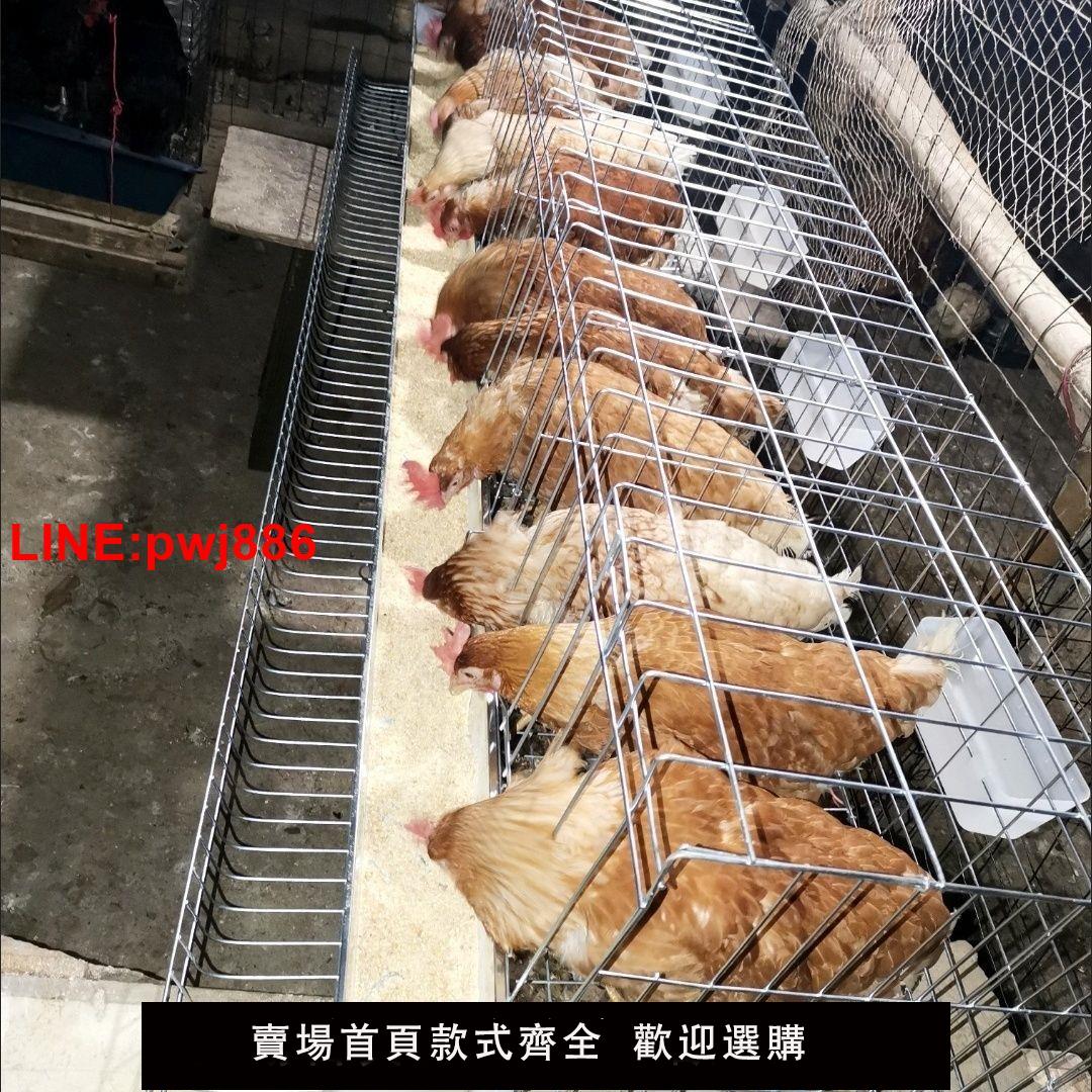 {台灣公司 可開發票}包郵加粗加厚下蛋雞籠專用自動滾蛋雞籠單獨隔斷雞籠子養殖場專用 2