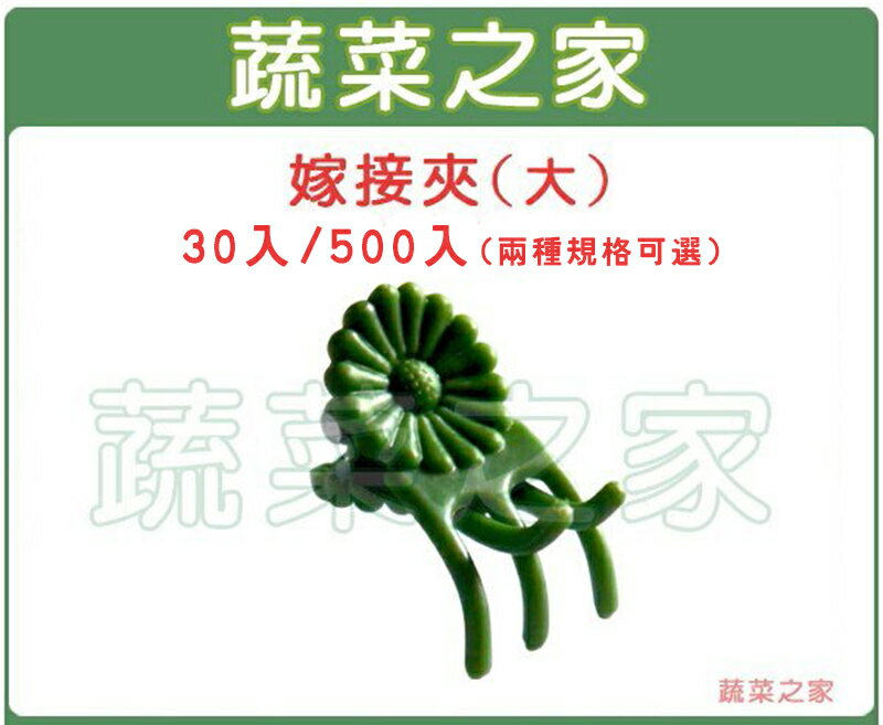 【蔬菜之家009-C53 / 009-C54】嫁接夾(固定夾.蘭花夾)-(大)30入/組、500入/組