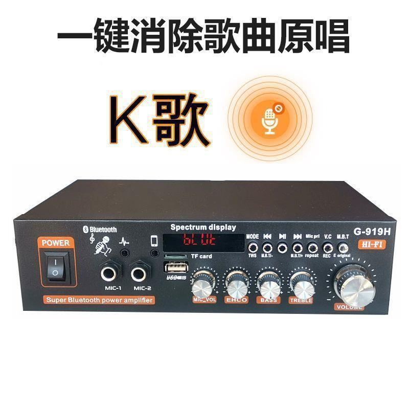 音訊功率放大器書架音箱功放機小型功放家用220伏12V車載電源兩用【北歐居家生活】
