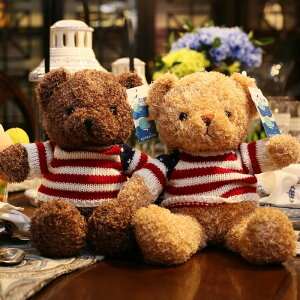 泰迪熊小熊公仔毛絨玩具熊抱抱熊布娃娃抱枕生日禮物送女友熊貓