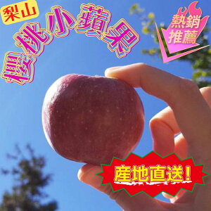 【緁迪水果JDFruit】台灣福壽山-新品種 櫻桃蜜蘋果 4斤裝 限量特殊品種