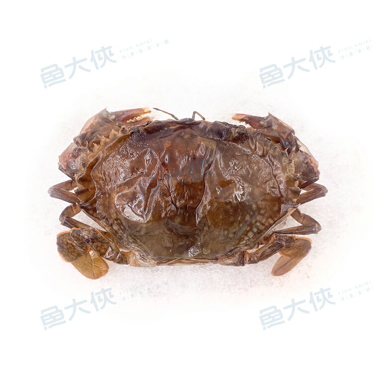 鮮凍軟殼蟹(8~10隻/600g±5%/盒)-1F6A【魚大俠】SP086
