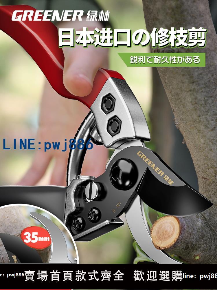 【台灣公司 可打統編】日本進口SK5鋼果樹園藝修枝剪剪樹枝專用剪刀花剪花藝枝條剪刀