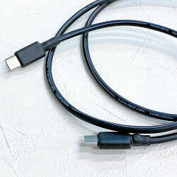 志達電子 DL056 日本鐵三角 Type C 公對公 c-to-c 雙頭傳輸線 USB 2.0 隨身硬碟/MacBook/iPad適用