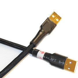 <br/><br/>  志達電子 CAB039 (Canare 20AWG) USB A公-A公 Canare USB DAC 專用傳輸線 傳導線 適用 谷津 U1 U2<br/><br/>