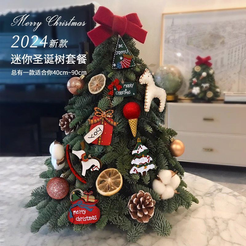 工廠現貨 聖誕樹 模擬聖誕樹 家用聖誕樹 聖誕節禮物 迷你聖誕樹帶燈2024新款聖誕節裝飾桌面擺件家用ins風聖誕樹套餐特惠/開立發票 快速出貨 S1106