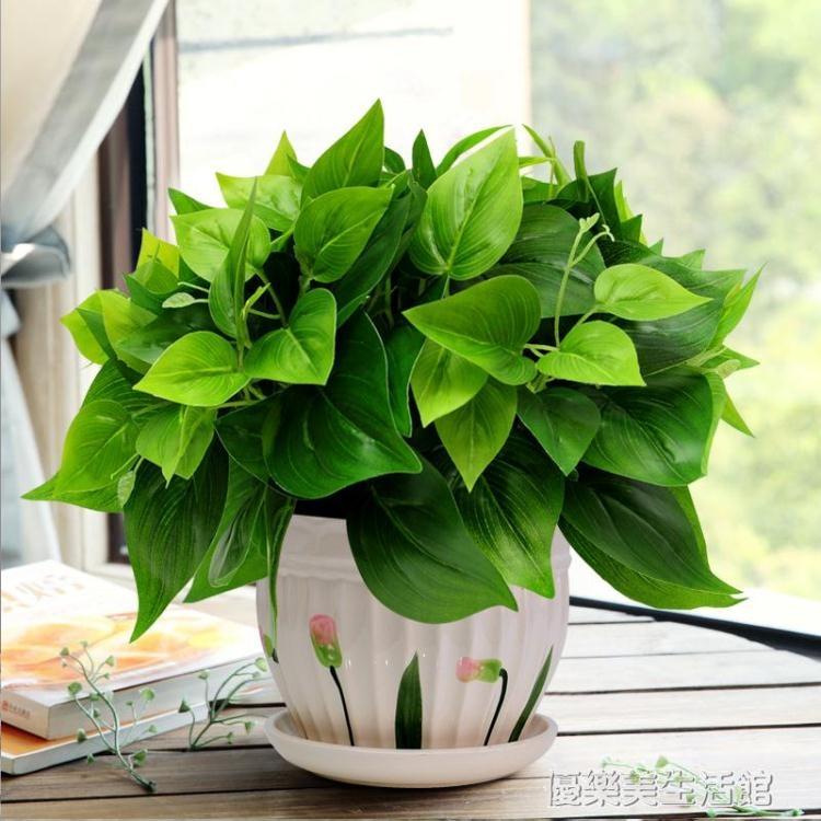 綠蘿仿真綠植套裝仿真花草植物家居客廳裝飾盆栽擺設辦公室擺件 樂樂百貨
