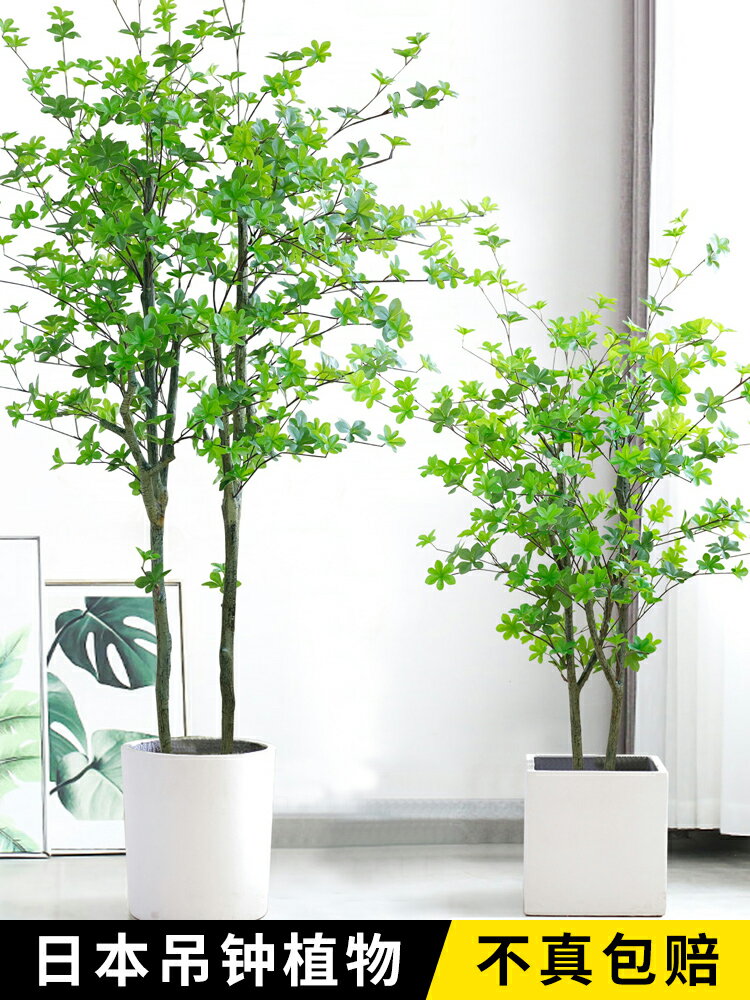 吊鐘仿真植物室內客廳盆栽馬醉木假樹北歐ins風大型裝飾綠植