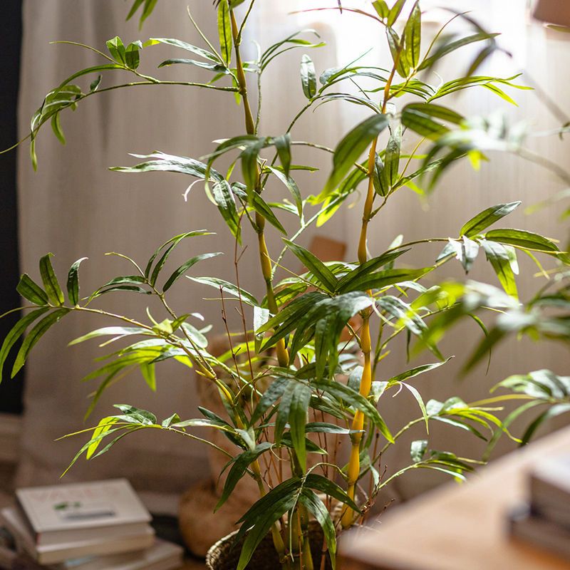 可開票 超低價 免運 掬涵 新品模擬綠植金葫蘆竹大型植物盆栽侘寂風落地造景裝飾擺件 快速發貨