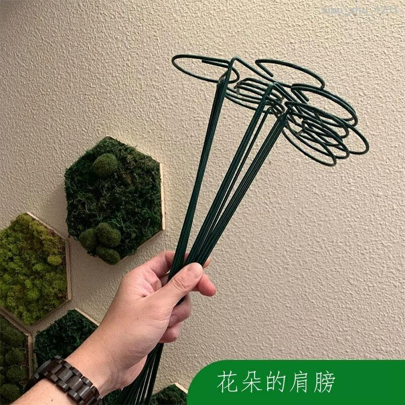 ✗◇☸植物花架花卉支撐桿繡球花支架爬藤支撐架鐵藝枝條園藝防倒固定花
