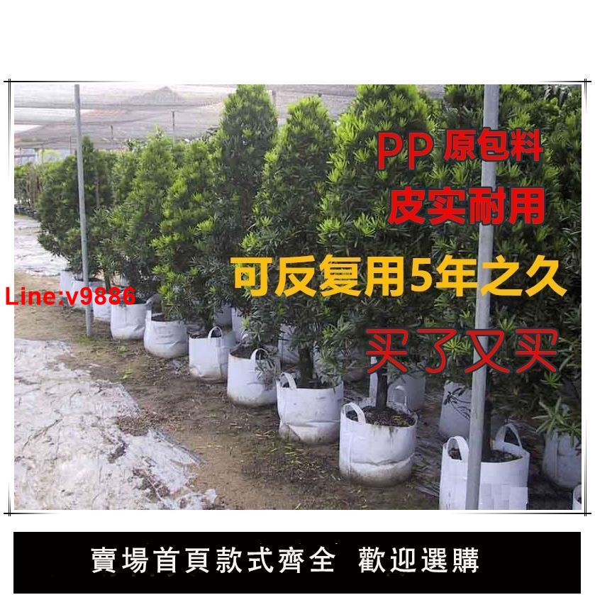 【臺灣公司 超低價】美植袋 種植袋 加厚無紡布植樹袋花盆特大白色灰色綠色包郵營養缽