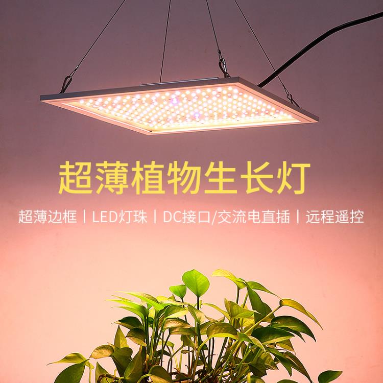 LED大功率植物燈量子板全光譜定時調光智能調節多肉補光植物燈YTL 全館免運