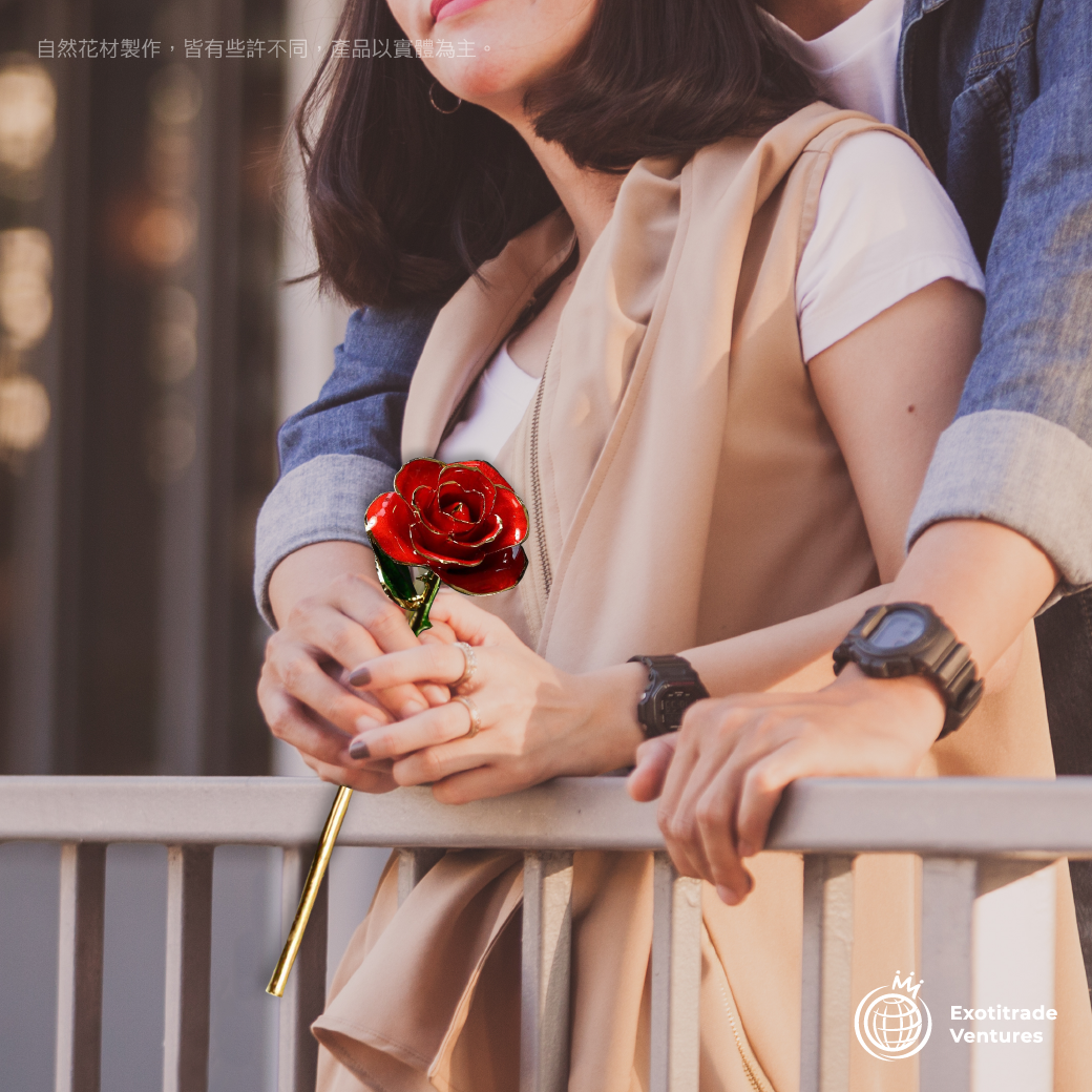 24K金 永恆鍍金珍藏玫瑰_紅色 5