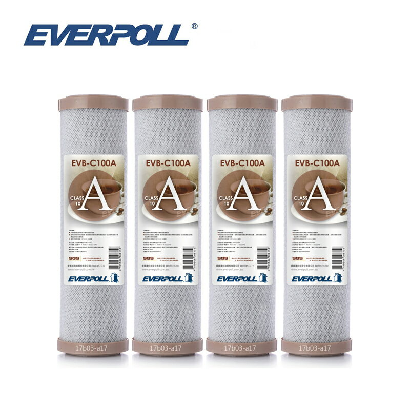 (4支入)EVERPOLL EVB-C100A標準型10英吋網狀壓縮活性碳棒濾芯 CTO濾芯 大大淨水