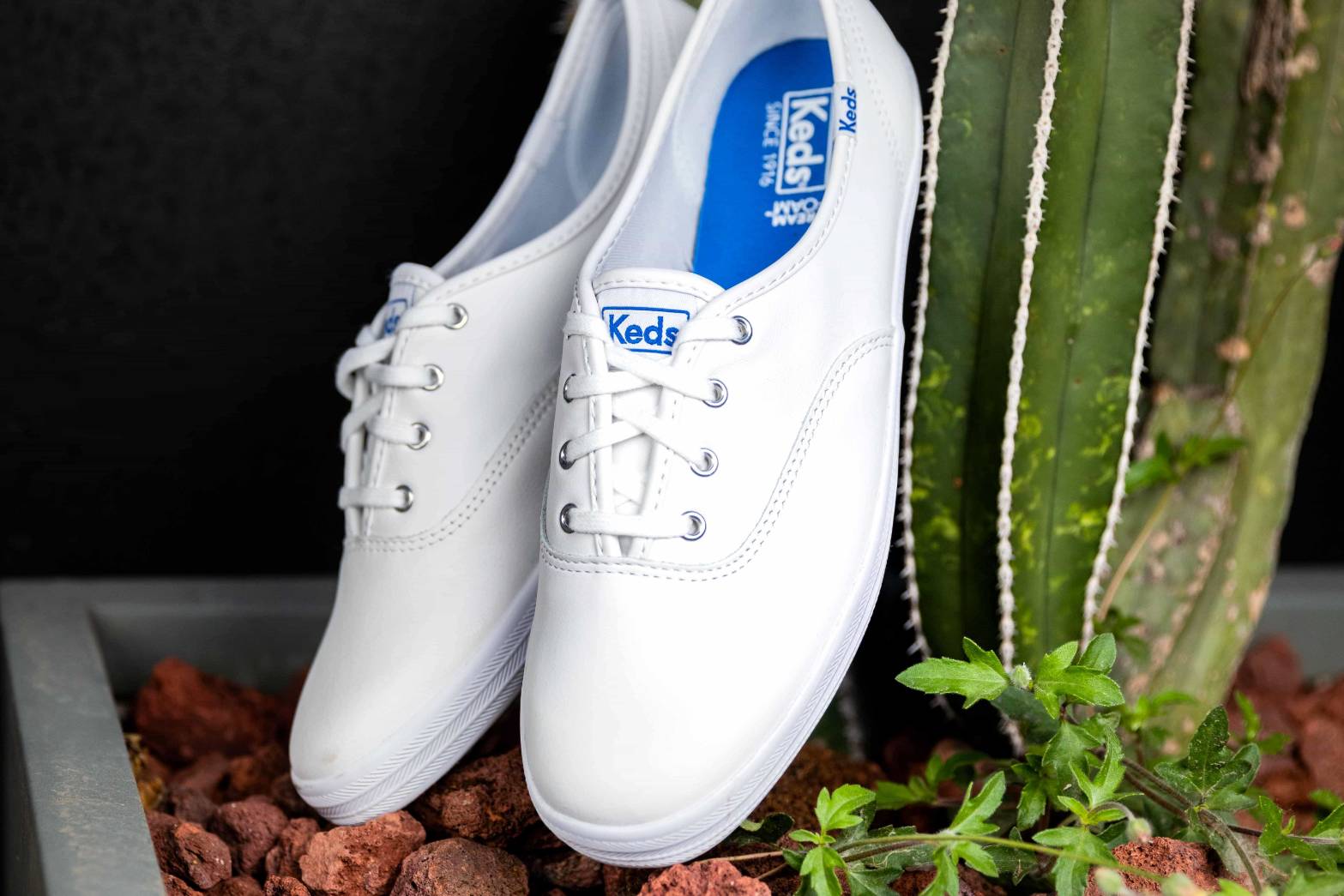 【毒】Keds 經典真皮休閒鞋平底小白鞋 9191W110015