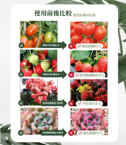 Led植物燈十段燈光調整led燈魚缸水草生長燈多肉燈紅藍燈補光燈檯燈燈管燈條花卉燈水草燈夾燈 a66 Happy Happy直營店 Led植物燈十段燈光調整led燈魚缸水草生長燈多肉燈紅藍燈補光燈檯燈燈管燈條花卉燈水草燈夾燈 a66 Happy Happy直營店