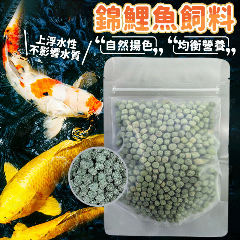 錦鯉魚飼料 龍鯉飼料 魚飼料 觀賞魚飼料 公園餵魚 錦鯉 籠鯉 吳郭魚 烏龜 60g【260105】