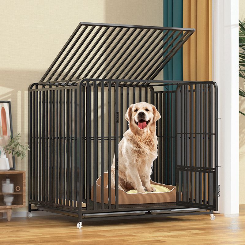 【狗籠】狗籠子大型中型犬室內帶廁所分離加粗寵物籠金毛拉布拉多家用狗籠