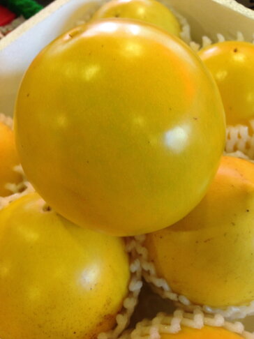 黃金果特級大果試嘗6入/一箱12入/一般水果箱/6入8入精緻禮盒【皇家果物】 1