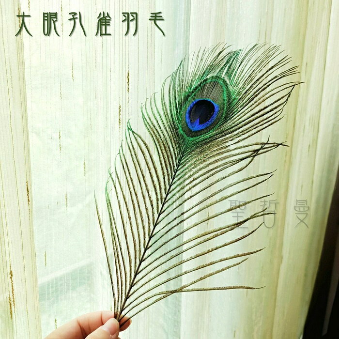 大眼孔雀羽毛/聖壇羽毛(風元素) 儀式 聖壇 天然 淨化 薩滿 巫師 空間淨化 拍攝道具 逗貓道具 逗貓棒材料 聖哲曼