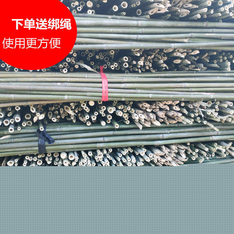 【滿500出貨】菜園竹竿種菜黃瓜爬藤支架彩旗桿小竹子棍豆角架菜園搭架柵欄裝飾【甄選優品】 1