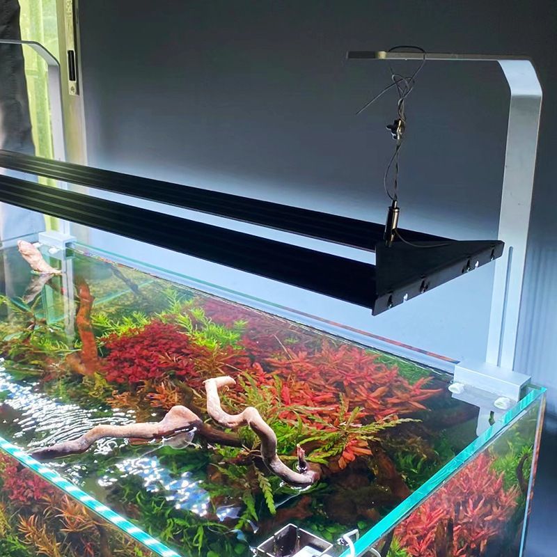 燈座/燈管 免運 尼奧水草燈XP魚缸燈led燈防水全光譜rgb照明燈吊燈支架燈爆藻燈L61公司貨 快速出貨