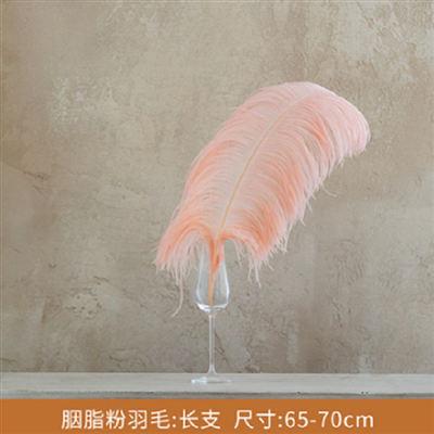 駝鳥毛羽毛裝飾品 1