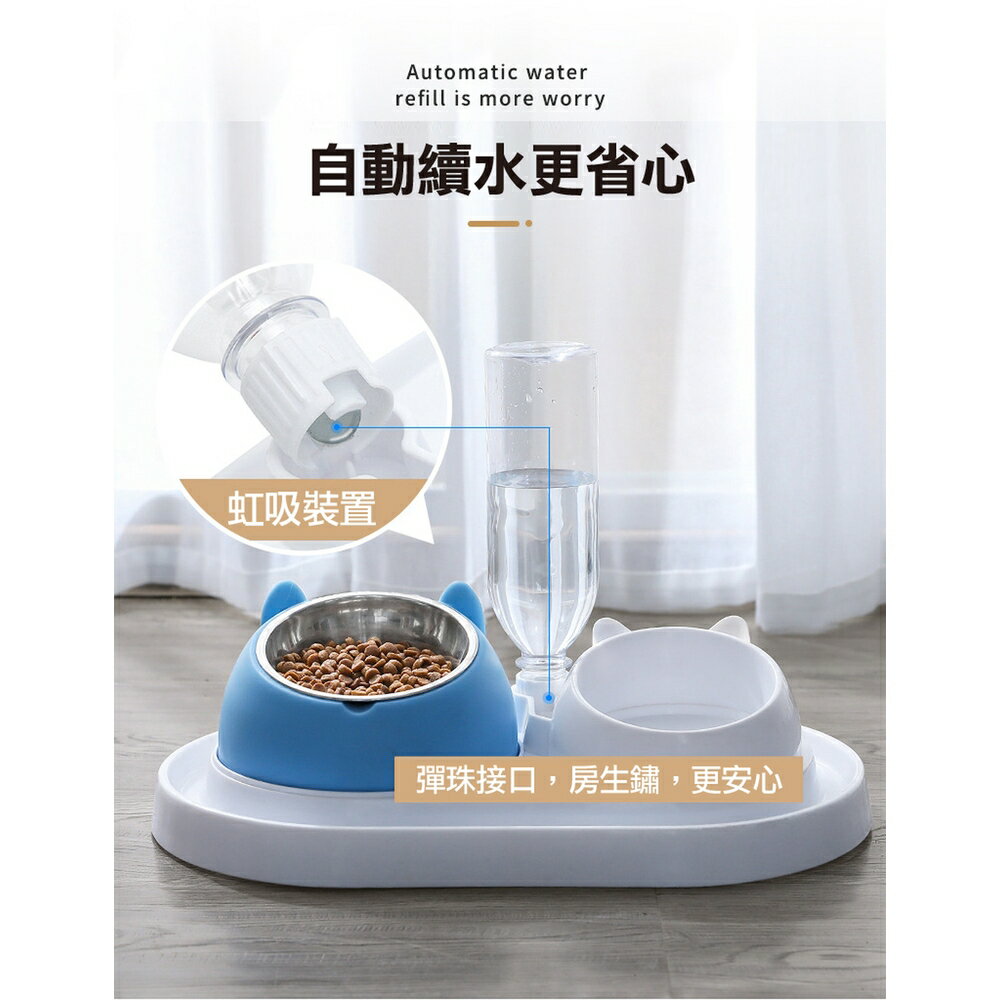 [現貨]寵物碗 寵物餐桌 狗狗碗 狗用品 寵物餵食器 狗碗 貓盆 貓碗 貓咪碗 飼料碗 寵物傾斜餐碗餵食器組 8