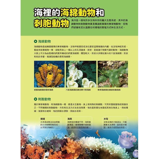 漫畫大英百科 生物地科14 無脊椎動物 樂天書城直營店 樂天市場rakuten