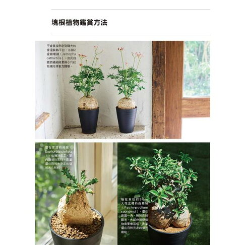 全年度塊根植物栽培基礎書 1