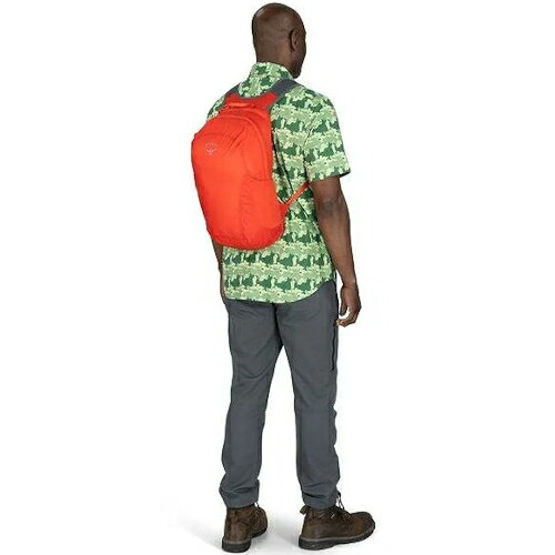 Osprey Ultralight Stuff Pack 輕量後背包/攻頂包/摺疊包 18L Tundra Green 苔原綠 | 台北山水 ...