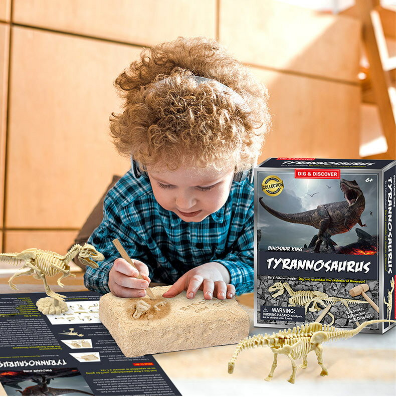 考古 挖寶 挖掘 侏羅紀 動物 模型 骨架 恐龍玩具 組裝模型