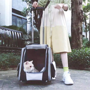 大號貓包透氣雙肩大容量兩只便攜帶背包夏天貓咪外出包寵物拉桿箱