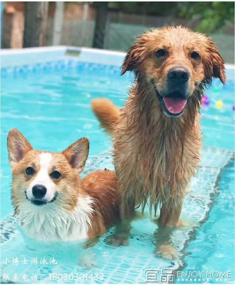 游泳池 超大號狗狗游泳池金毛薩摩大型犬泰迪泳池可折疊寵物戲水池洗澡盆免運宜品居家 MKS