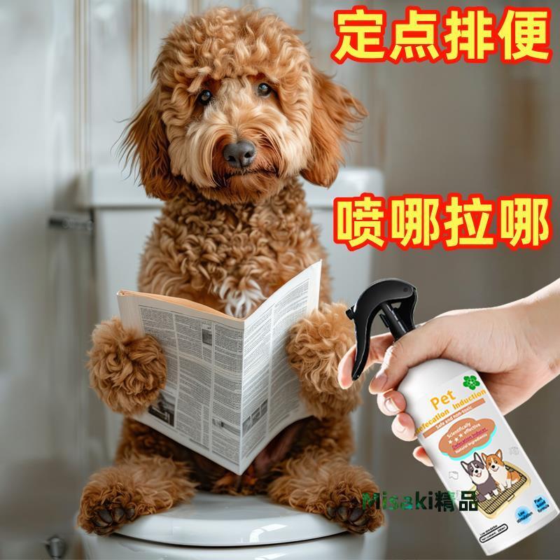 狗狗狗大小便訓練上廁所便便尿尿寵物定點排便拉屎拉尿引導誘導劑-Misaki精品