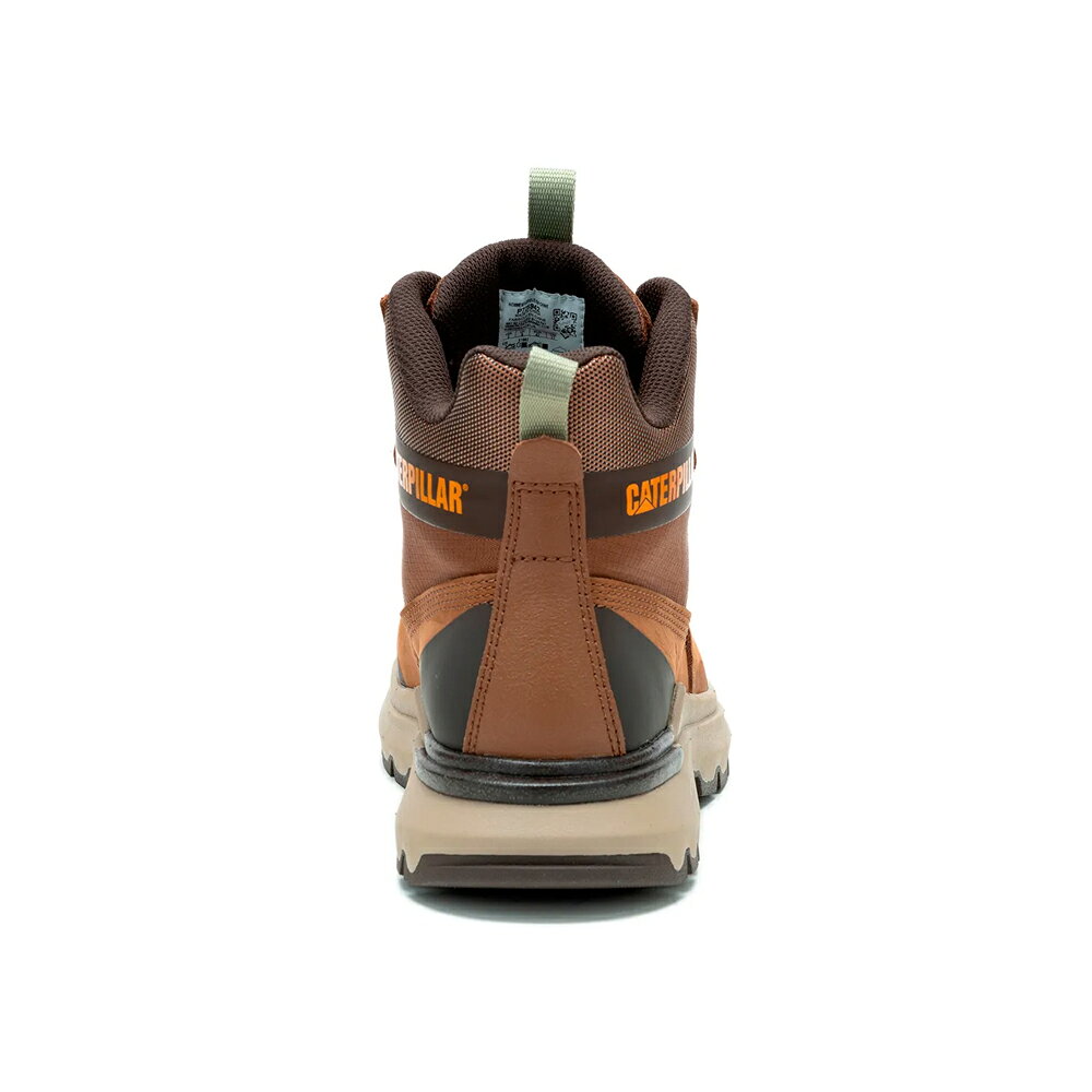 CAT COLORADO SNEAKER 經典復刻休閒鞋 男鞋-經典咖 3