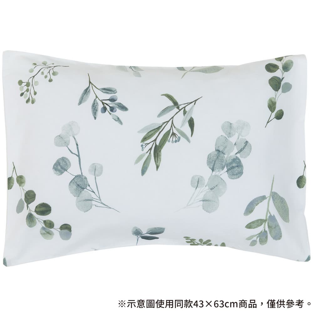 純棉枕套 NS8 EUCALYPTUS 50×70 NITORI宜得利家居