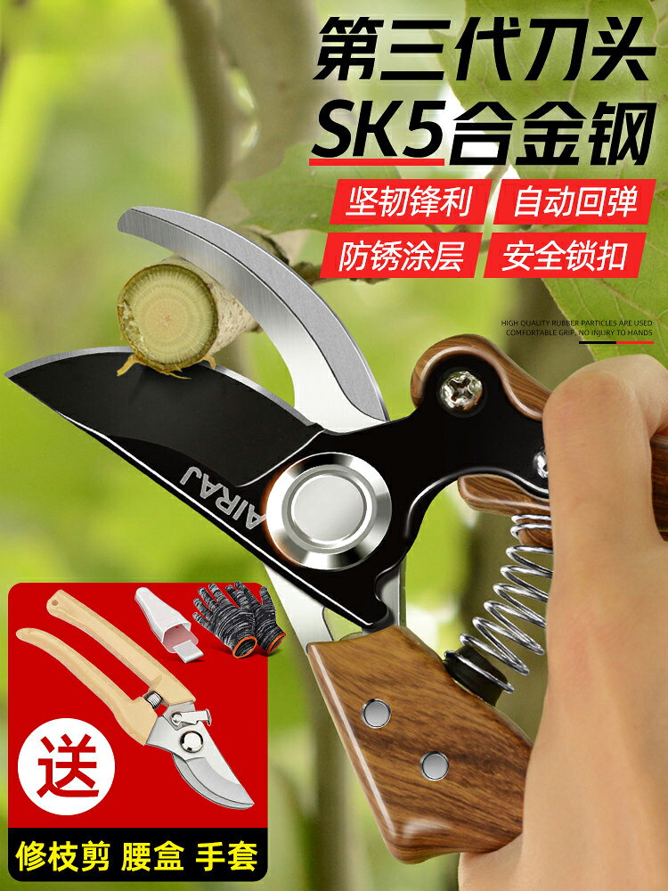 園林果枝果樹剪枝德國剪刀進口sk5鋼專用修枝剪樹枝盆景修花木藝