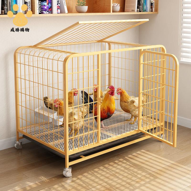 免運開發票 雞籠 養殖籠 兔籠 雞籠養殖籠家用室內大號特大號養雞專用籠子自動清糞雞舍鴨籠雞窩 八折下殺ly14