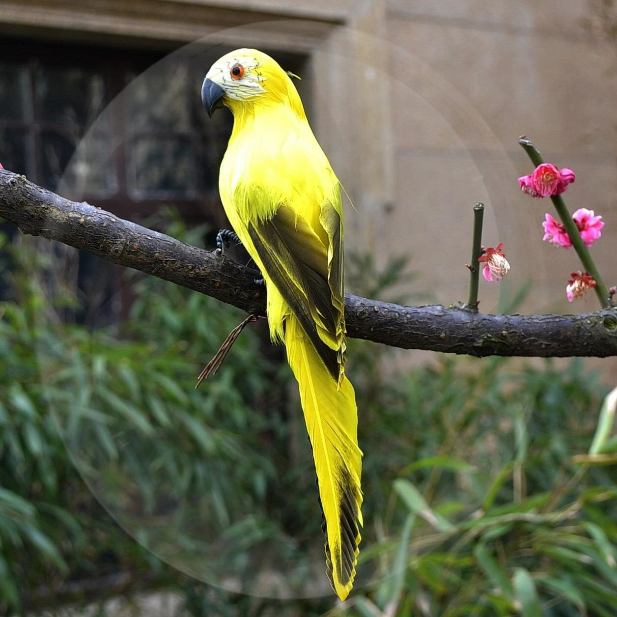 創意模擬鳥羽毛小鳥彩色鸚鵡假鳥擺件花園櫥窗裝飾道具工藝品掛件