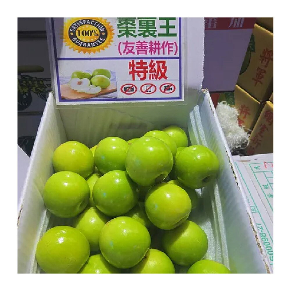 【仙菓園】台灣 棗裏王蜜棗 3kg裝 單顆約130g±10% 1
