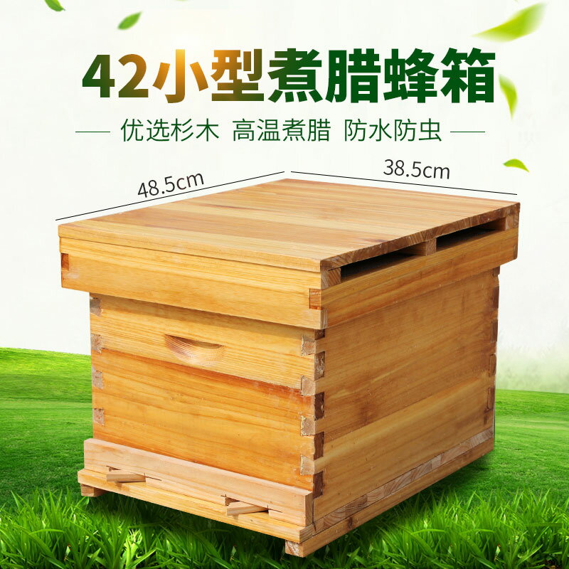 蜜蜂箱蜜蜂42蜂箱全套養蜂工具專用養蜂小蜂箱煮蠟全杉木中蜂標準蜂巢箱 J 佳幫手居家 Rakuten樂天市場